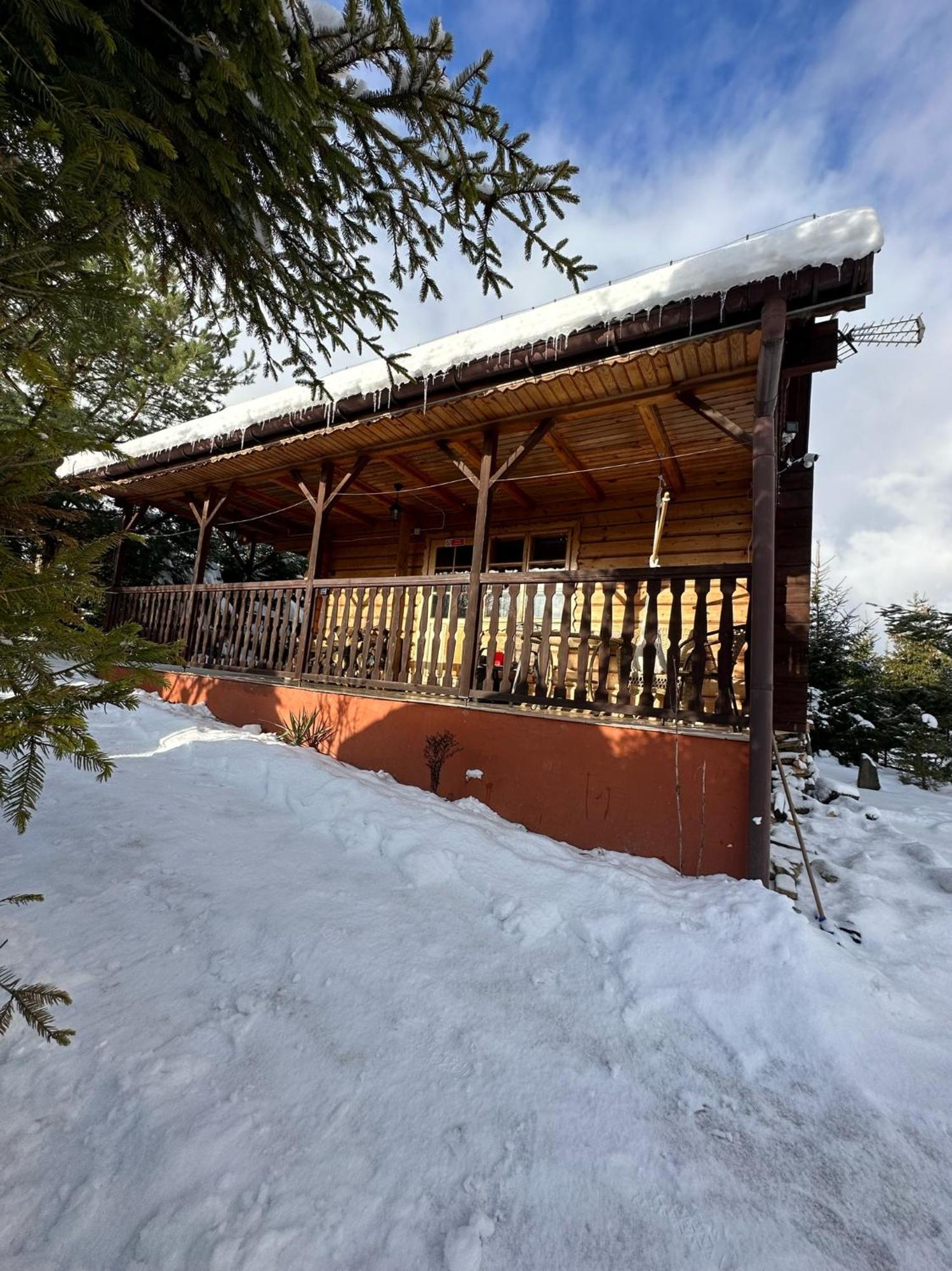 Urocza Chata Z Sauna W Bieszczadzkim Parku Krajobrazowym Bukowiec  Exteriör bild